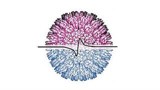 Νέο μοριακό τεστ της Roche για την ανίχνευση του ιού του απλού έρπητα