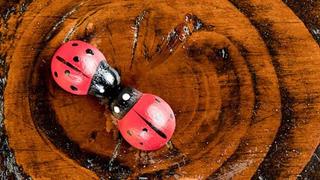 Σημάδια ότι έχετε βρει την αδελφή ψυχή σας