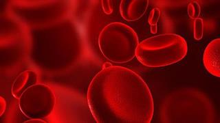 Η μετάγγιση αίματος αναζωογονεί τον εγκέφαλο;