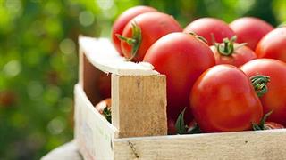 Ντομάτα σε χάπι κατά της καρδιοπάθειας
