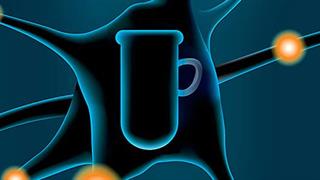 Café scientifique: Εκδήλωση για τις νευροεπιστήμες, ανοικτή στο κοινό