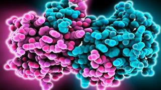 Συναγερμός για τον ιό Έμπολα στην Αφρική