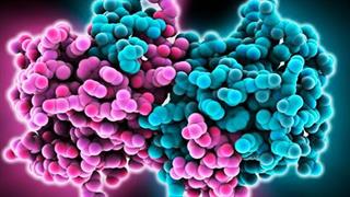 Όσα πρέπει να γνωρίζετε για τον ιό Έμπολα και τον αιμορραγικό πυρετό