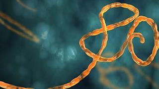 Παγκόσμιο ζήτημα ασφάλειας το ξέσπασμα του ιού Έμπολα, τονίζει το Ευρωπαϊκό Κοινοβούλιο