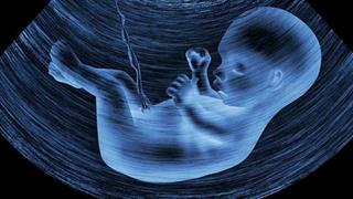 Γεννήθηκε από μεταμοσχευμένη μήτρα 