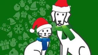 Παζάρι της Ζωοφιλικής Ένωσης Ηλιούπολης