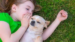 Τα οφέλη της συντροφιάς ενός ζώου
