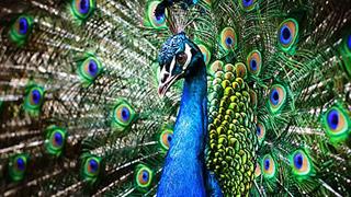 11 τρικ για να εντυπωσιάζετε όποιον γνωρίζετε