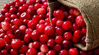 Τα cranberries μπορεί να βοηθήσουν στον περιορισμό της αντίστασης στα αντιβιοτικά 