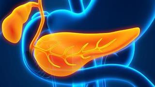 Η απώλεια λίπους από το πάγκρεας μπορεί να αναστρέψει τον διαβήτη