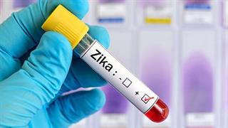 Ιός Zika: Απειλή και για την Ευρώπη;