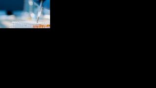 ΠΟΣΥΠΙ: Αναστέλλουν την επίσχεση προς τον ΕΟΠΥΥ τα ιδιωτικά διαγνωστικά εργαστήρια 