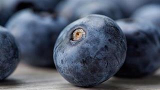 Έρευνα: Τα μύρτιλα προστατεύουν από τη νόσο Alzheimer