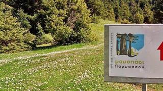 Στην τελική ευθεία το Μονοπάτι Παρνασσού