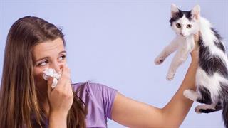 Έξυπνοι τρόποι για να μειώσουμε τα συμπτώματα της αλλεργίας από κατοικίδια