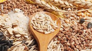 Διατροφή πλούσια σε φυτικές ίνες βοηθά την υγιή γήρανση