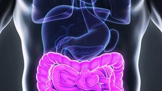 Ενημέρωση για τον καρκίνο του παχέος εντέρου στον Πειραιά