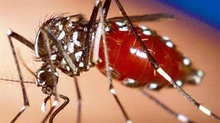 ΗΠΑ: Μετάδοση του ιού Ζίκα από επαφή με άρρωστο