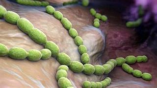 Ερευνητές λένε πως μπορεί να προβλεφθεί ο κίνδυνος πνευμονίας στους ηλικιωμένους