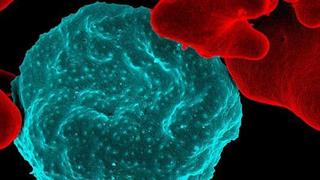 Επιστολές Π.Ι.Σ για το θέμα των κρουσμάτων ελονοσίας