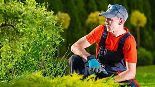 Η κηπουρική κάνει καλό