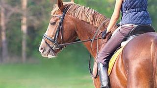 Ιπποθεραπεία: Σχεδιάζονται ενέργειες για να καλύπτεται από τον ΕΟΠΥΥ