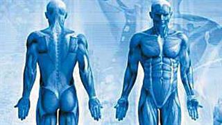 26ο Συνέδριο του Πανελληνίου Συλλόγου Φυσικοθεραπευτών 