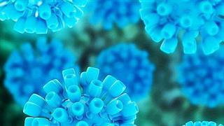 Πνευμονική υπέρταση: αυξάνονται οι θεραπευτικές επιλογές