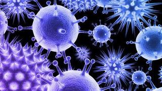 Πόση ζωή έχουν οι ιοί της γρίπης και του κρυολογήματος