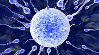 Παρασημοφόρηση του αναπληρωτή Προέδρου της Εθνικής Αρχής Ιατρικώς Υποβοηθούμενης Αναπαραγωγής