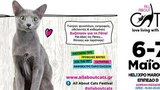 To All About Cats επιστρέφει στην Αθήνα