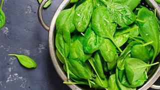 Οι καλύτερες πηγές φυτικού σιδήρου