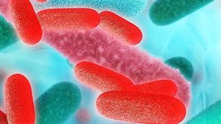 Λεγιονέλλα στο δίκτυο ύδατος του “Παπαγεωργίου” !