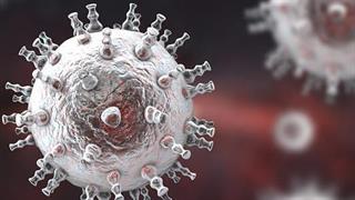 Ημερίδα στον Άγιο Σάββα για τα σαρκώματα