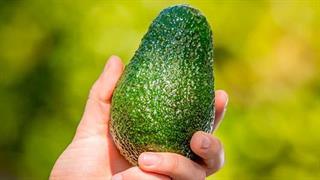 Το ήξερες ότι το αβοκάντο προστατεύει την επιδερμίδα;