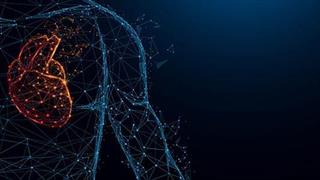 Διόρθωση ανεπάρκειας μιτροειδούς βαλβίδας με την τεχνική MitraClip