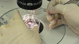 Η καινοτομία στην Ιατρική Τεχνολογία κλειδί για τη βελτίωση της ποιότητας ζωής των πολιτών