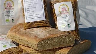 Αγρόκτημα ΚΕΘΕΑ ΙΘΑΚΗ: Παράγουμε το φαγητό που τρώμε