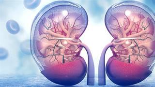 Καρκίνος στα νεφρά: Ποια είναι τα συμπτώματα;