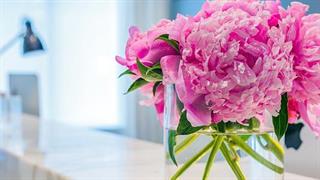 Υπερ πίστεως η πληρωμή του Σεπτεμβρίου στη δευτεροβάθμια περίθαλψη