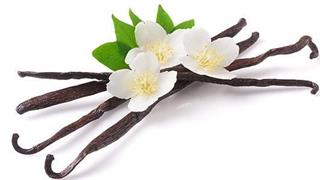 Εκχύλισμα βανίλιας δοκιμάζεται κατά της ψωρίασης