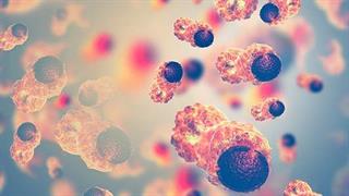 Καρκίνος και διατροφή: Οι μεγαλύτεροι μύθοι