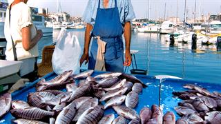 Λιπαρά ω-3: Γιατί πρέπει να τρώμε ψάρια;