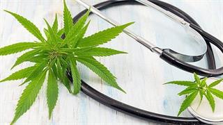 Οι Οικολόγοι Πράσινοι για την θεσμοθέτηση καλλιέργειας και χρήσης ιατρικής κάνναβης