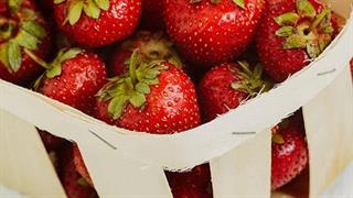 Ιώδιο: Σε ποιες τροφές το βρίσκουμε και ποια είναι τα οφέλη του;