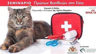 Ημερίδα πρώτων βοηθειών για τη γάτα στις 6 Μαϊου