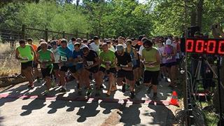 Καποδιστριακός Αγώνας Δρόμου στην Πανεπιστημιούπολη