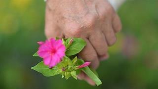 Ωφελεί την ψυχική υγεία η αγωγή για την αρθρίτιδα;