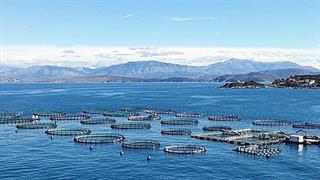 Σελόντα: Διευκρινίσεις για την ολοκλήρωση της πώλησης στην Andromeda Seafood