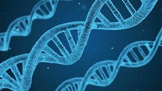 Η συνταγογράφηση στα βιοομοειδή πρέπει να γίνεται εξατομικευμένα με βάση κλινικές ενδείξεις